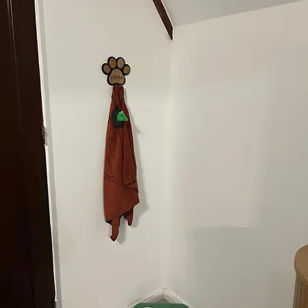Lodka Vendeghaz